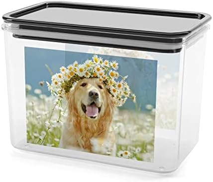 זהב רטריבר כלב יפה זר אחסון קופסא פלסטיק מזון ארגונית מיכל מיכלי עם מכסה למטבח
