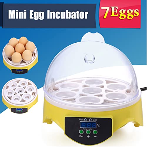 ביצת חממה, חממות לבקיעת ביצים עם בקרת טמפרטורה, שימוש כללי חממה דיגיטלי ברור עוף ברווז ביצת חממה