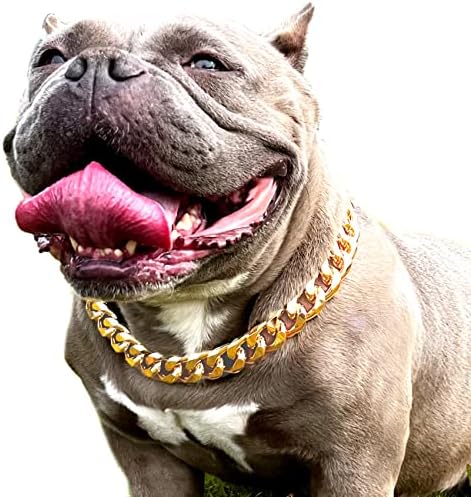 צווארון כלבי שרשרת זהב - שרשרת כלבים קובנית קובנית קובנית רחבה בגודל 7/8 אינץ