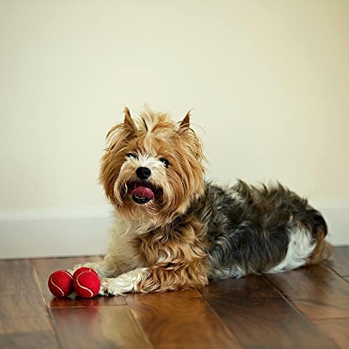 כדורי טניס כלבים של Midlee, אדום, 1.5 מארז