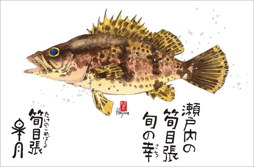 Hagoromo CL23-1035 Fish Sai Tokki - אוסף יצירות מיומן Okamoto 2023, לבן