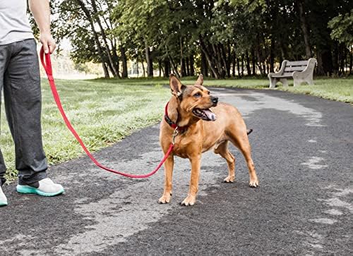 Life Life ® סוודר חיות מחמד חביב -חביב - סוודר כלבים מעצבים עם צוואן צב - בגדי כלבי חורף שנועדו לשמור על