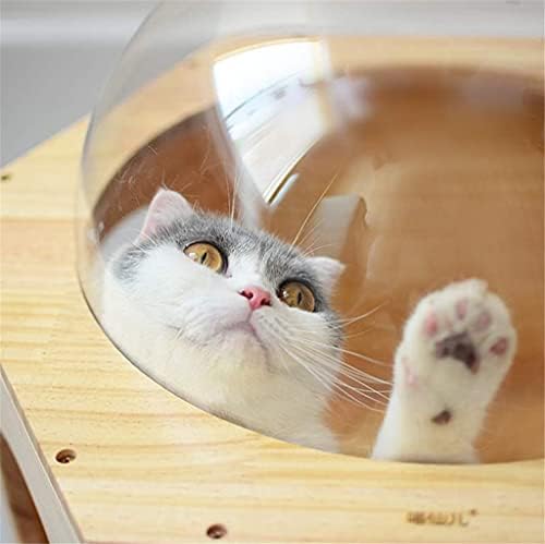 קיר רכוב חתולי טיפוס מסגרת חתולי עץ משושה קפסולת חלל חתולי קיר בית לשחק מערת חתלתול צעצוע מיטה לחיות