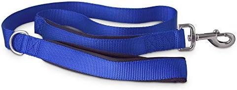 Yoully The Champion 2 in-1 Blue Dog Lead, 4 ft.