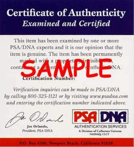 TIM RAINES PSA DNA Cert חתום 8x10 Photo Expos Autograpth - תמונות MLB עם חתימה
