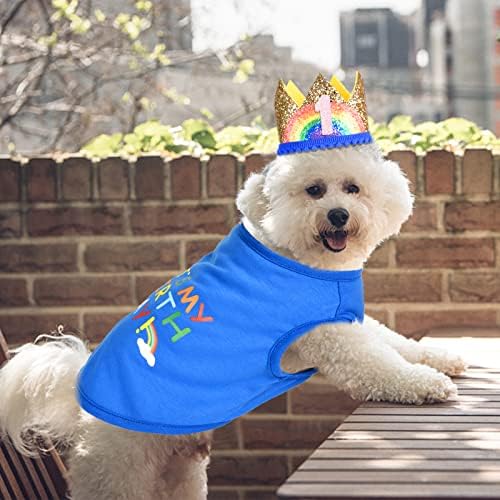 ציוד למסיבות יום הולדת לכלב - סט תלבושת כובע יום הולדת לכלב - בנדנה של ילד יום הולדת, כלבים קטנים,