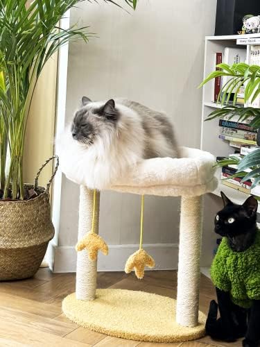 נקוסאן חתול גרוד עם מיטה, חתול עץ עם להסרה עוף בצורת מוט, חתול מגדל חתלתול גרוד עם טבעי סיסל חבל ותלייה צעצועי
