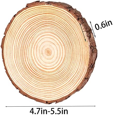 12 יח 'פרוסות עץ טבעיות לא גמורים - 5.5-6.3 ערכת עץ DIY עם קליפת עץ - מלאכת מעץ - מעגלי עץ לציור