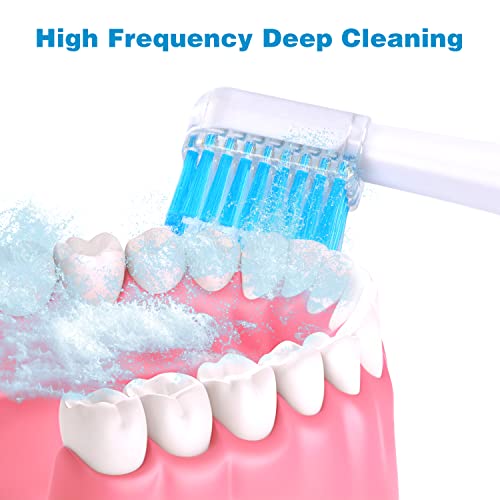 מברשות שיניים חשמליות מברשות שיניים לבירות לבנות ללינה של LED למבוגרים תיקון ערכת טיפול קולית עם
