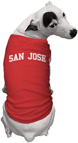 סן חוזה - חולצת כלבים בבית הספר לספורט סטייט סיטי