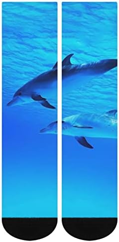 דולפין חתול עשב בגרבי צוות ים כחול עמוק חידוש הדפס מצחיק גרפי מזדמן עובי בינוני לאביב סתיו וחורף