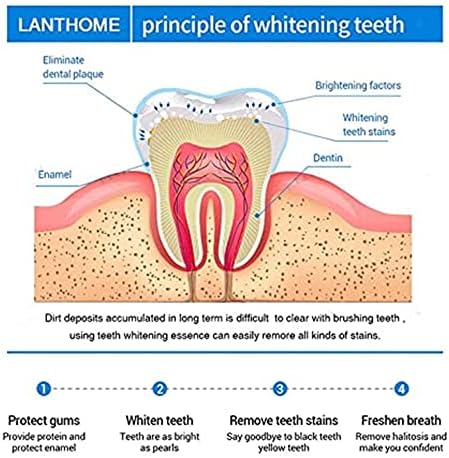 תמצית הלבנת שיניים לנטום, שיניים מזמורות אגוזיות לבנות, עט הלבנת שיניים לנטום, עט הרגל, מהות להלבנת שיניים מרפא