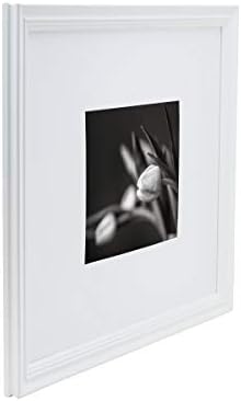 מסגרת תמונה של סטודיו נובה מציגה 8 x 10 תמונות 16 x 20 ללא מחצלת, לבן