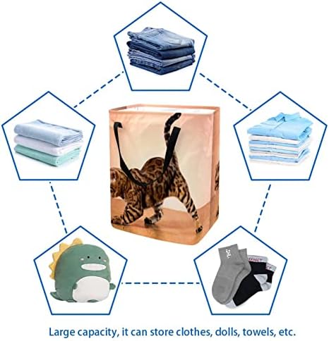 סל כביסה מתקפל בהדפס חום חתול, סלי כביסה עמידים למים 60 ליטר אחסון צעצועי כביסה לחדר שינה בחדר האמבטיה