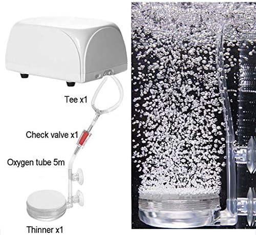 לא ידוע1 בברכה על לוח החלקה מים זכוכית סט של 6 ברור אקריליק