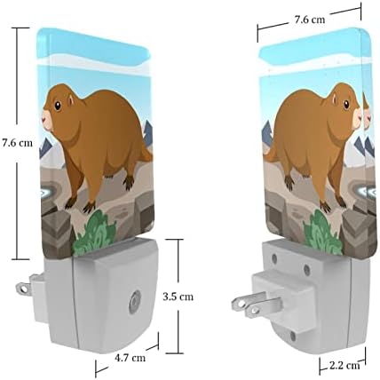 ערכות ציור יהלומים 5D, אמנות יהלום למבוגרים לילדים מתחילים, DIY עגולה/מרובעת קידוח מלא ציור יהלום לפי ערכת מספר